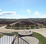 Rangers Valley Tour - panorama view from the tower