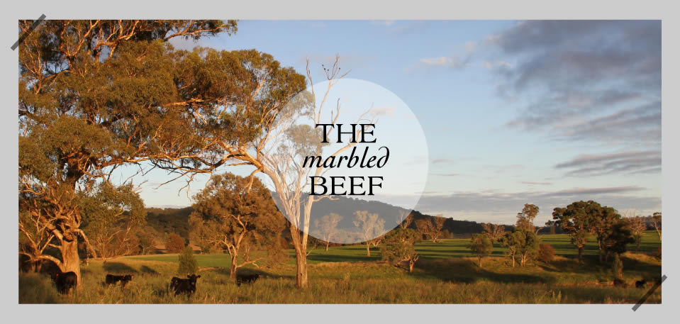 The marbled Beef - Rangers Valley