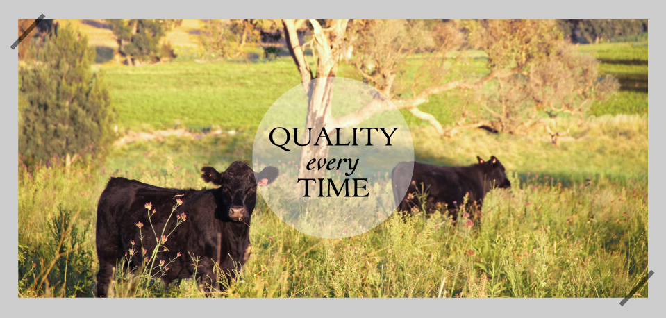 Quality every Time - Rangers Valley