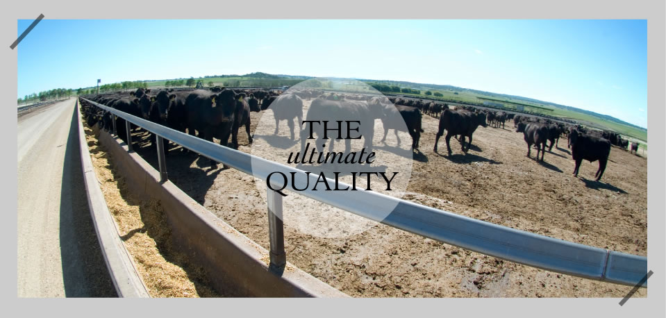 The ultimate Quality - Rangers Valley