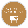 What is Marbling?